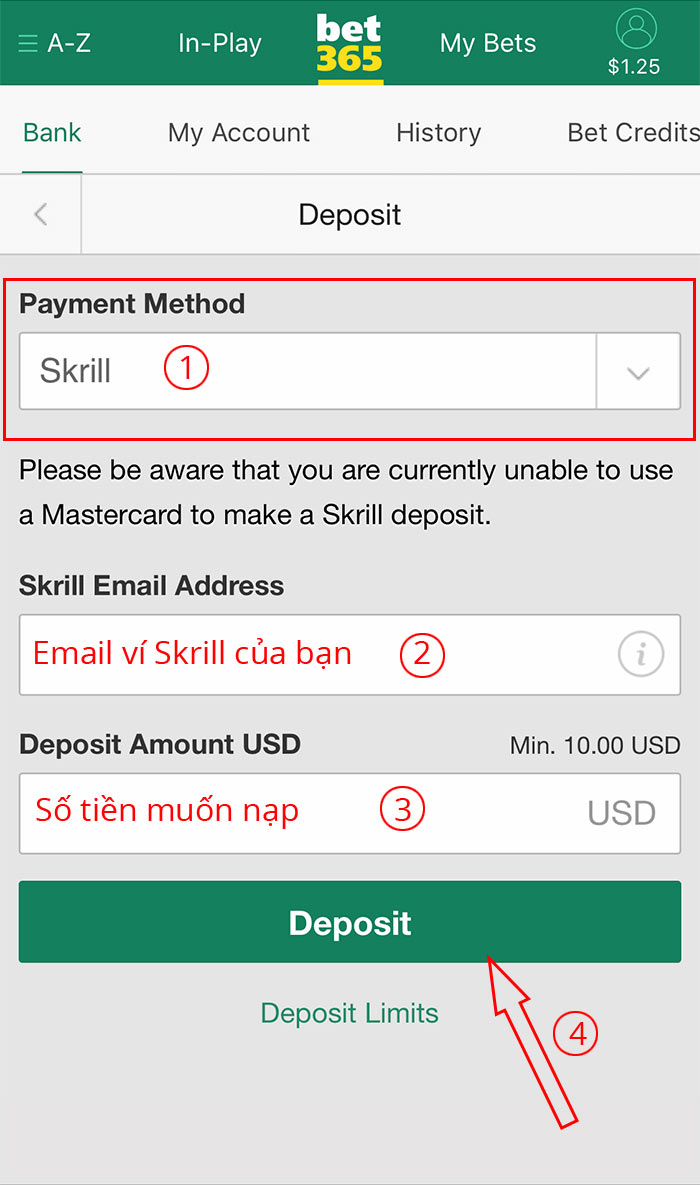 Chọn phương thức Skrill và nhập thông tin gửi tiền