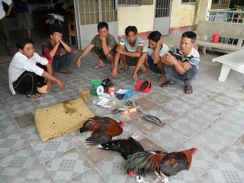 Bắt quả tang một tụ điểm tham gia đá gà tại Tiền Giang