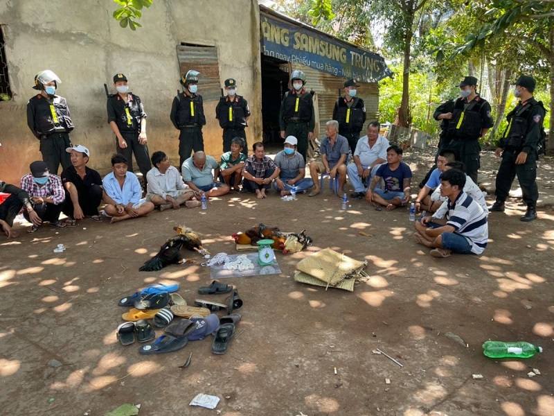Bắt giữ 128 người trong trường gà ở Sài Gòn