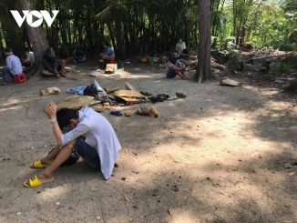 Tiền Giang: Bắt quả tang 14 người tụ tập đá gà ăn tiền